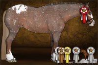 Horse Color:Liver Red Roan Sabino Blanket 