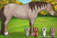 Horse Color:Classic Champagne Roan Sabino 
