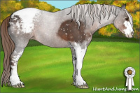 Horse Color:Liver Red Roan Sabino Snowcap 