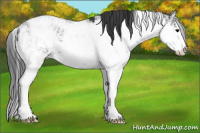 Horse Color:Black Sabino 