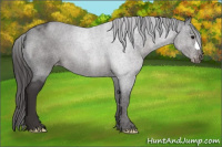 Horse Color:Smoky Blue Roan Varnish 