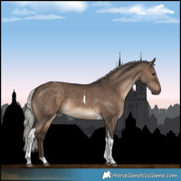Horse Color:Silver Brown Dun Tobiano