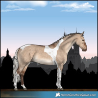 Horse Color:Silver Brown Dun Tobiano 
