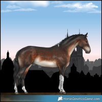 Horse Color:Brown Tobiano 