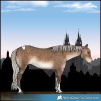 Horse Color:Silver Brown Dun Tobiano 