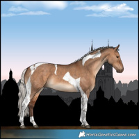 Horse Color:Silver Brown Dun Tobiano 