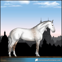 Horse Color:Gray Liver Red Dun Tobiano 