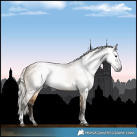 Horse Color:Gray Silver Bay Dun Tobiano 