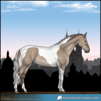 Horse Color:Silver Grullo Tobiano
