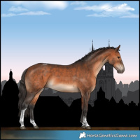 Horse Color:Bay Tobiano 
