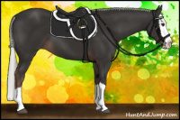 Horse Color:Liver Chestnut Mushroom Sabino Splash 