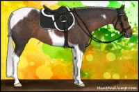 Horse Color:Liver Chestnut Mushroom Tobiano 