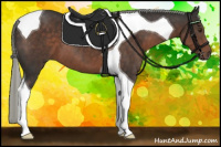 Horse Color:Liver Chestnut Mushroom Tobiano 