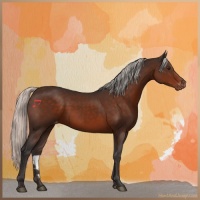 Horse Color:Silver Brown Varnish