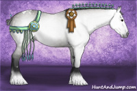 Horse Color:Gray Grullo Tobiano Appaloosa 