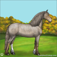 Horse Color:Chocolate Palomino Roan 