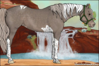 Horse Color:Silver Black Tobiano Varnish 