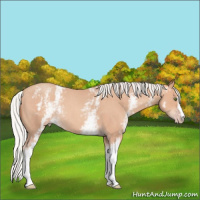 Horse Color:White Spotted Silver Classic Champagne Roan