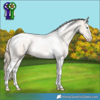 Horse Color:Smoky Creme Tobiano 