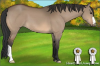 Horse Color:Bay Dun