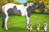 Horse Color:Smoky Black Tobiano Varnish Rabicano 