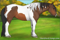 Horse Color:Bay Tobiano 