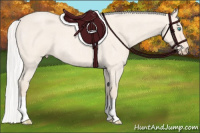 Horse Color:Silver Perlino Roan 