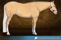 Horse Color:Silver Amber Cream Champagne