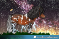 Horse Color:White Spotted Brown 
