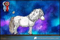 Horse Color:White Spotted Bay Appaloosa 