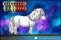 Horse Color:White Spotted Bay Chinchilla Appaloosa