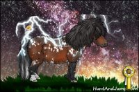 Horse Color:White Spotted Bay 