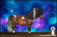 Horse Color:White Spotted Bay 