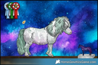 Horse Color:Watercolor White Spotted Bay Appaloosa 