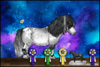 Horse Color:White Spotted Bay Chinchilla 