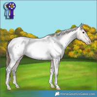 Horse Color:Bay Dun Near Fewspot 