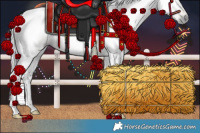 Horse Color:Gray Buckskin Rabicano 