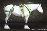 Horse Color:Gray Black Appaloosa  and Grullo Appaloosa 