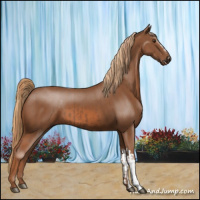 Horse Color:Chestnut and Chestnut
