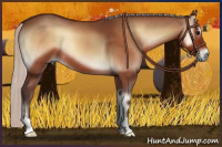 Horse Color:Silver Bay Onyx
