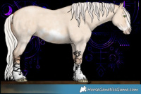 Horse Color:Silver Classic Champagne Dun Sabino Splash Frame 