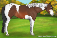 Horse Color:Bay Sabino Tobiano 