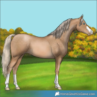 Horse Color:Chocolate Palomino Pearl