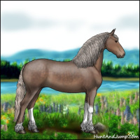 Horse Color:Silver Black Tobiano 