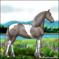 Horse Color:Silver Black Tobiano 