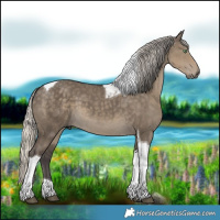 Horse Color:Silver Smoky Grullo Tobiano 