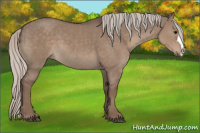 Horse Color:Silver Grullo 
