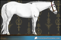 Horse Color:Gray Chestnut Frame Leopard 
