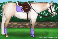 Horse Color:Gray Silver Perlino