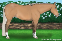 Horse Color:Gray Silver Perlino